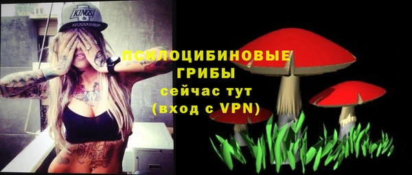 гашик Бугульма