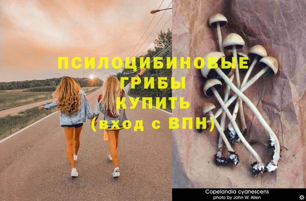 кокаин колумбия Бородино