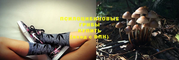 кокаин колумбия Бородино