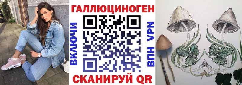Галлюциногенные грибы ЛСД  Купить где  Курлово 